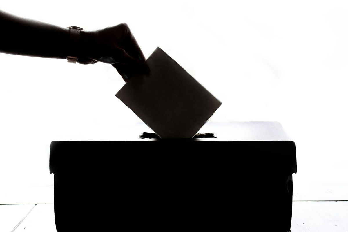 A ballot being cast: the end result of petition and field work